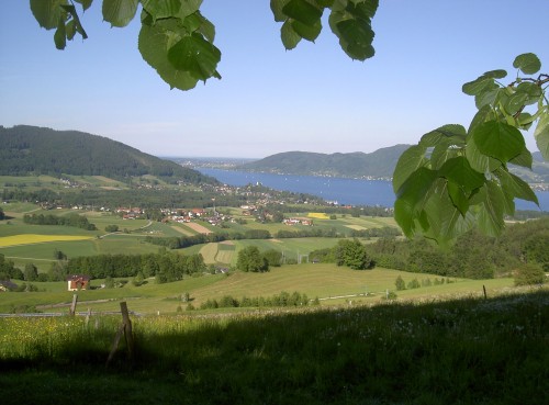 Blick Kronberg Attersee 1